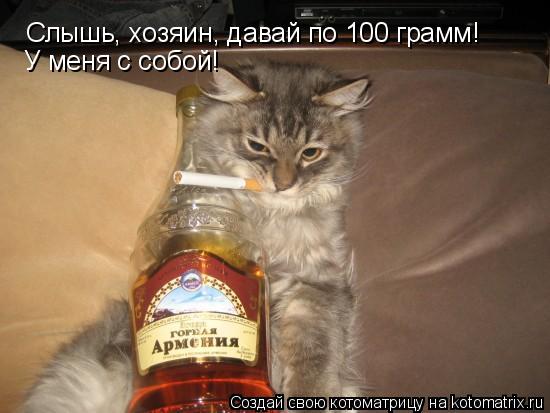 Слышь, хозяин, давай по 100 грамм! У меня с собой!... Котоматрица: Слышь, хозяин, давай по 100 грамм! У меня с собой!