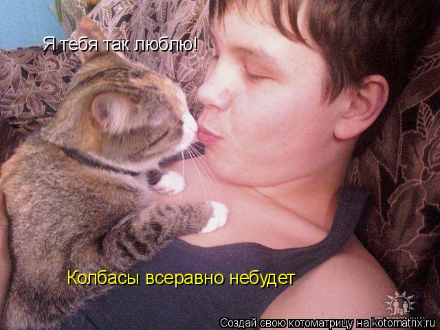Я тебя так люблю! Колбасы всеравно небудет... Котоматрица: Я тебя так люблю! Колбасы всеравно небудет