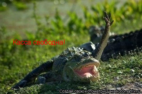 Касса свободна!... Котоматрица: Касса свободна!