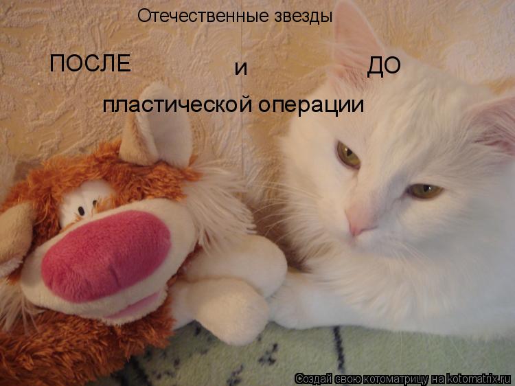 Отечественные звезды ПОСЛЕ ДО пластической операции и... Котоматрица: Отечественные звезды ПОСЛЕ ДО пластической операции и