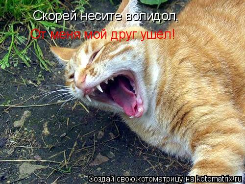 Скорей несите волидол, От меня мой друг ушёл!... Котоматрица: Скорей несите волидол, От меня мой друг ушёл!