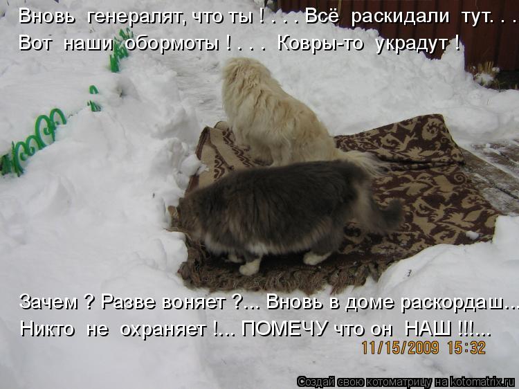 Вновь генералят, что ты ! . . . Всё раскидали тут. . . Вот наши обормоты ! . . . Ковры-то укра... Котоматрица: Вновь генералят, что ты ! . . . Всё раскидали тут. . . Вот наши обормоты ! . . . Ковры-то украдут ! Зачем ? Разве воняет ?... Вновь в доме раск