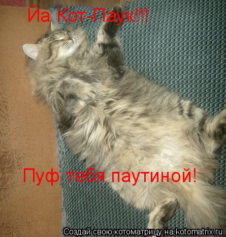 Йа Кот-Паук!!! Пуф тебя паутиной!... Котоматрица: Йа Кот-Паук!!! Пуф тебя паутиной!