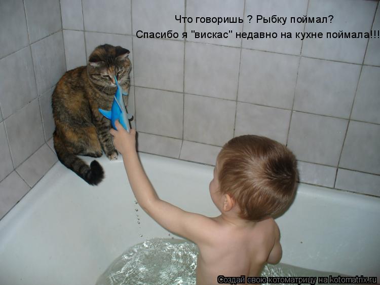 Что говоришь ? Рыбку поймал? Спасибо я "вискас" недавно на кухне поймала!!!... Котоматрица: Что говоришь ? Рыбку поймал? Спасибо я "вискас" недавно на кухне поймала!!!