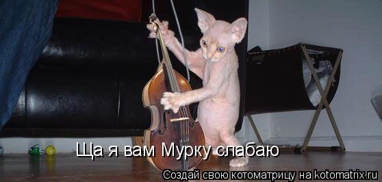 Ща я вам Мурку слабаю... Котоматрица: Ща я вам Мурку слабаю