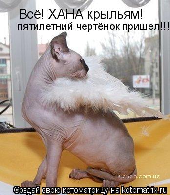 Всё! ХАНА крыльям! пятилетний чертёнок пришел!!!... Котоматрица: Всё! ХАНА крыльям! пятилетний чертёнок пришел!!!