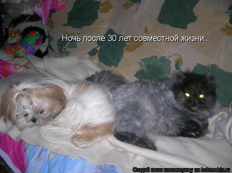 Ночь после 30 лет совместной жизни...... Котоматрица: Ночь после 30 лет совместной жизни...