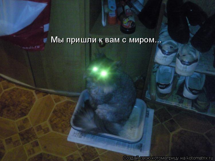 Мы пришли к вам с миром...... Котоматрица: Мы пришли к вам с миром...