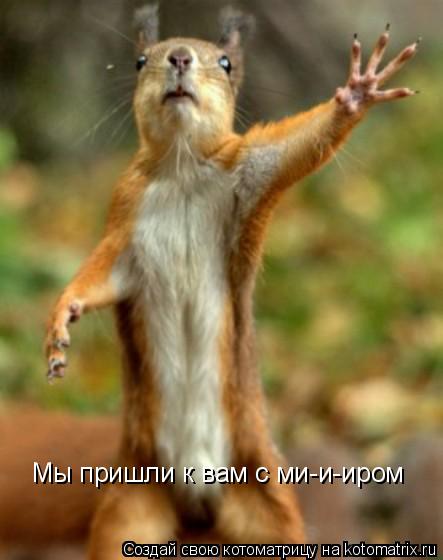 Мы пришли к вам с ми-и-иром... Котоматрица: Мы пришли к вам с ми-и-иром
