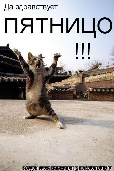 Да здравствует ПЯТНИЦО !!!... Котоматрица: Да здравствует ПЯТНИЦО !!!