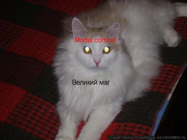 Mortal combat Великий маг... Котоматрица: Mortal combat Великий маг