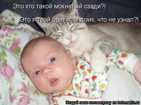 Это кто такой мохнатый сзади?! Это я твой бритик Мурзик, что не узнал?!... Котоматрица: Это кто такой мохнатый сзади?! Это я твой бритик Мурзик, что не узнал?!