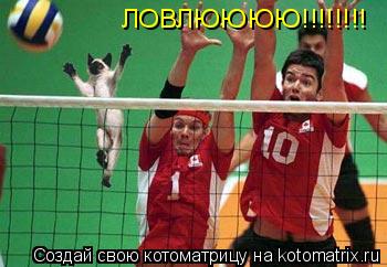 ЛОВЛЮЮЮЮ!!!!!!!! ЛОВЛЮЮЮЮ!!!!!!!!... Котоматрица: ЛОВЛЮЮЮЮ!!!!!!!! ЛОВЛЮЮЮЮ!!!!!!!!