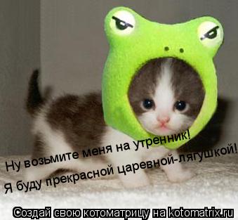 Ну возьмите меня на утренник! Я буду прекрасной царевной-лягушкой! Я буду прекрасной царевной-лягушк... Котоматрица: Ну возьмите меня на утренник! Я буду прекрасной царевной-лягушкой! Я буду прекрасной царевной-лягушкой!