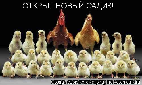 Котоматрица: ОТКРЫТ НОВЫЙ САДИК!
