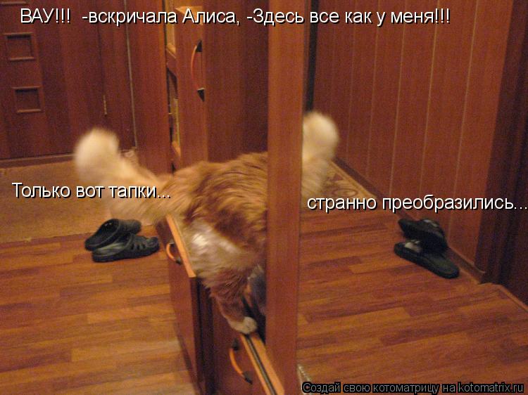 Котоматрица: ВАУ!!!  -вскричала Алиса, -Здесь все как у меня!!! Только вот тапки... странно преобразились...