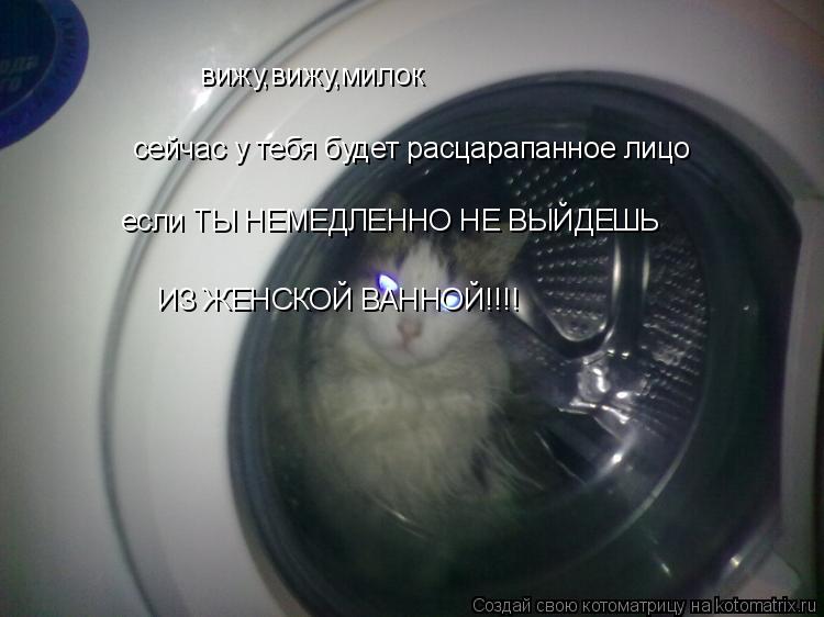Котоматрица: вижу,вижу,милок сейчас у тебя будет расцарапанное лицо если ТЫ НЕМЕДЛЕННО НЕ ВЫЙДЕШЬ ИЗ ЖЕНСКОЙ ВАННОЙ!!!!