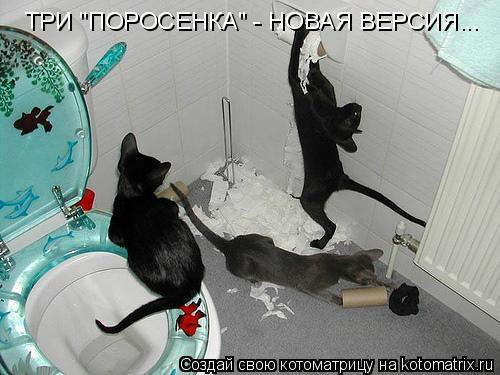 ТРИ "ПОРОСЕНКА" - НОВАЯ ВЕРСИЯ...... Котоматрица: ТРИ "ПОРОСЕНКА" - НОВАЯ ВЕРСИЯ...