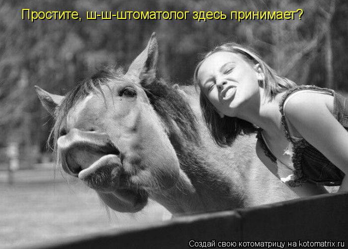 Простите, ш-ш-штоматолог здесь принимает?... Котоматрица: Простите, ш-ш-штоматолог здесь принимает?