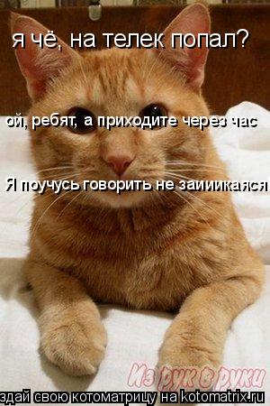 Котоматрица: я чё, на телек попал? в я чё, на телек попал?  ой, ребят, а приходите через час Я поучусь говорить не заииикаяся!