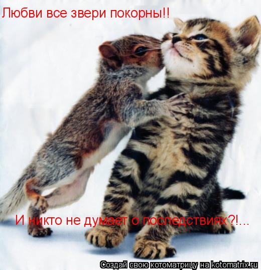 Котоматрица: Любви все звери покорны!! И никто не думает о последствиях?!...