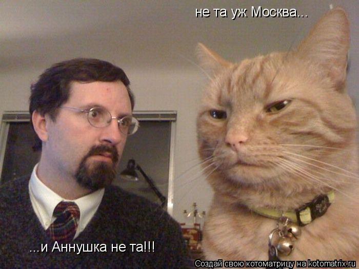 не та уж Москва... ...и Аннушка не та!!!... Котоматрица: не та уж Москва... ...и Аннушка не та!!!