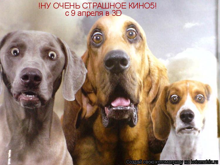 !НУ ОЧЕНЬ СТРАШНОЕ КИНО5! с 9 апреля в 3D... Котоматрица: !НУ ОЧЕНЬ СТРАШНОЕ КИНО5! с 9 апреля в 3D
