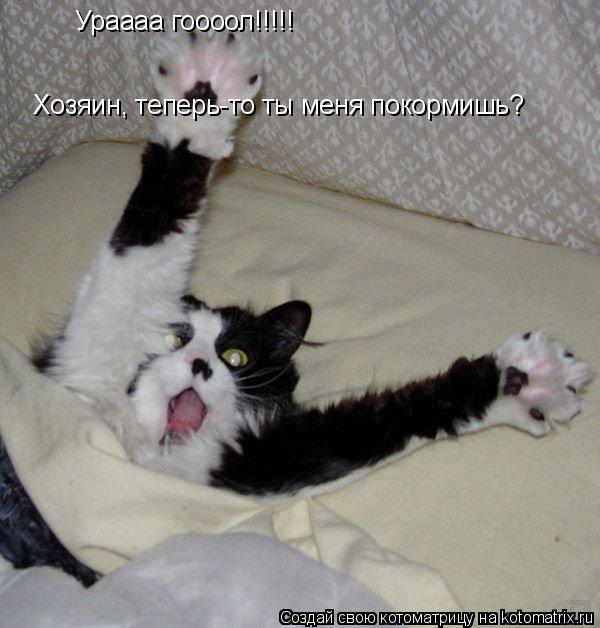 Ураааа гоооол!!!!! Хозяин, теперь-то ты меня покормишь?... Котоматрица: Ураааа гоооол!!!!! Хозяин, теперь-то ты меня покормишь?