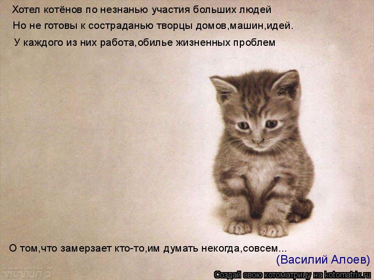 Хотел котёнов по незнанью участия больших людей Но не готовы к состраданью творцы домов,машин,идей. У... Котоматрица: Хотел котёнов по незнанью участия больших людей Но не готовы к состраданью творцы домов,машин,идей. У каждого из них работа,обилье жизненны