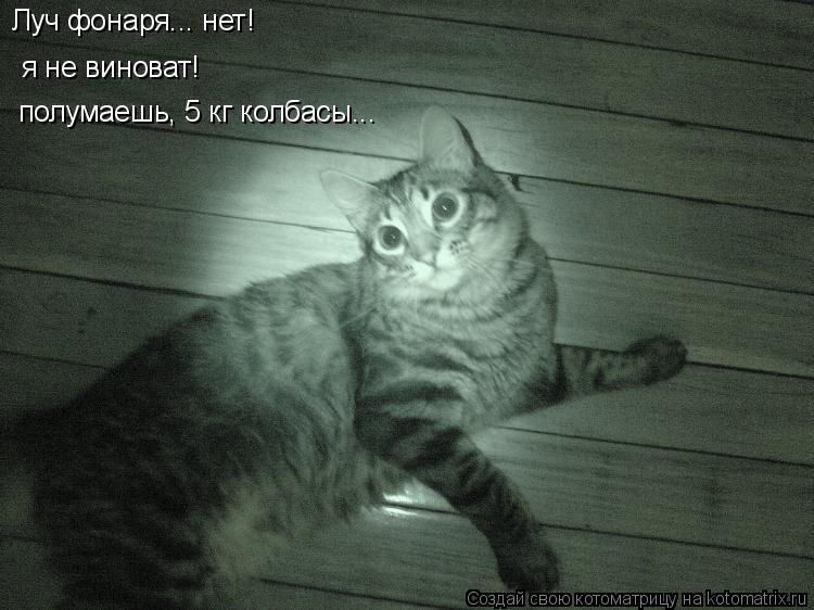 Луч фонаря... нет! я не виноват! полумаешь, 5 кг колбасы...... Котоматрица: Луч фонаря... нет! я не виноват! полумаешь, 5 кг колбасы...