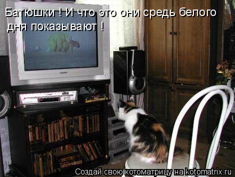 Батюшки ! И что это они средь белого дня показывают !... Котоматрица: Батюшки ! И что это они средь белого дня показывают !