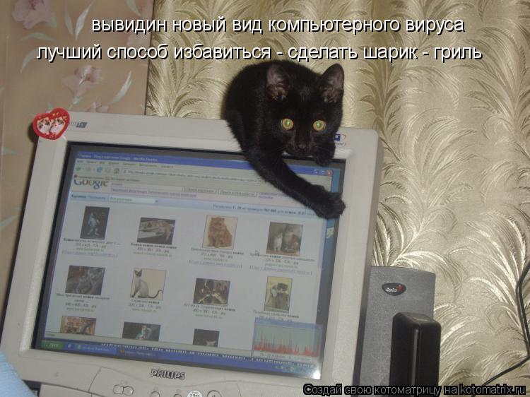 вывидин новый вид компьютерного вируса лучший способ избавиться - сделать шарик - гриль... Котоматрица: вывидин новый вид компьютерного вируса лучший способ избавиться - сделать шарик - гриль