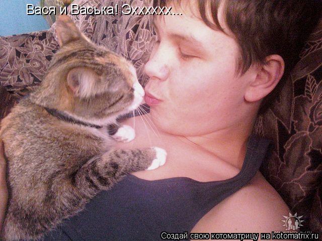 Вася и Васька! Эхххххх...... Котоматрица: Вася и Васька! Эхххххх...