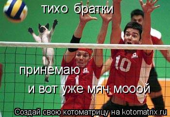 тихо братки принемаю и вот уже мяч мооой... Котоматрица: тихо братки принемаю и вот уже мяч мооой