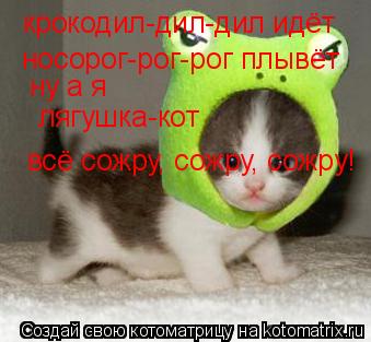 крокодил-дил-дил идёт носорог-рог-рог плывёт ну а я лягушка-кот всё сожру, сожру, сожру!... Котоматрица: крокодил-дил-дил идёт носорог-рог-рог плывёт ну а я лягушка-кот всё сожру, сожру, сожру!