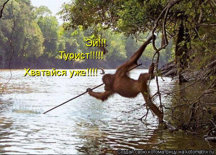 Эй!!! Турист!!!!! Хватайся уже!!!!... Котоматрица: Эй!!! Турист!!!!! Хватайся уже!!!!