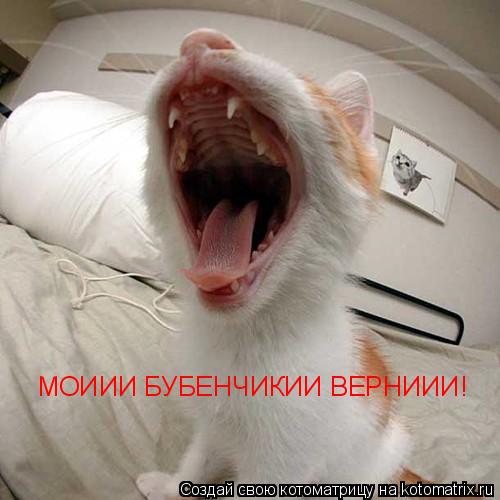 МОИИИ БУБЕНЧИКИИ ВЕРНИИИ!... Котоматрица: МОИИИ БУБЕНЧИКИИ ВЕРНИИИ!