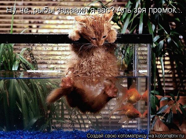 Ну, чё ,рыбы задавил я вас? Аль зря промок...... Котоматрица: Ну, чё ,рыбы задавил я вас? Аль зря промок...