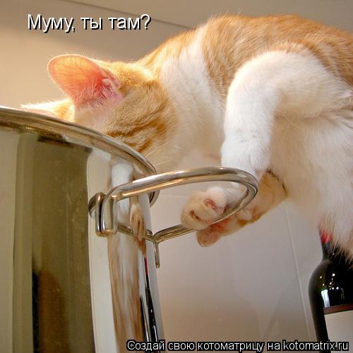 Муму, ты там?... Котоматрица: Муму, ты там?