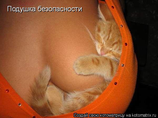 Подушка безопасности... Котоматрица: Подушка безопасности