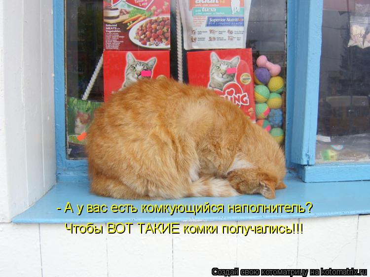Котоматрица: - А у вас есть комкующийся наполнитель? Чтобы ВОТ ТАКИЕ комки получались!!!