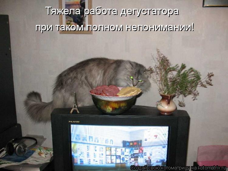 Тяжела работа дегустатора при таком полном непонимании!... Котоматрица: Тяжела работа дегустатора при таком полном непонимании!