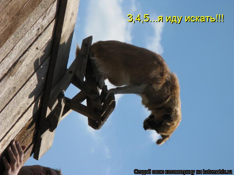 3,4,5...я иду искать!!!... Котоматрица: 3,4,5...я иду искать!!!