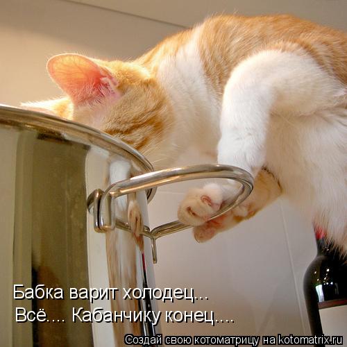 Всё.... Кабанчику конец.... Бабка варит холодец...... Котоматрица: Всё.... Кабанчику конец.... Бабка варит холодец...