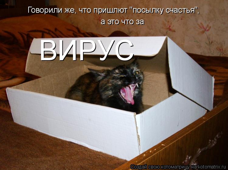 Котоматрица: Говорили же, что пришлют "посылку счастья", а это что за ВИРУС