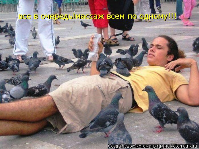Котоматрица: все в очередь!массаж всем по одному!!!