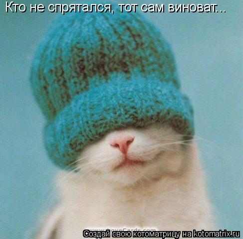 Котоматрица: Кто не спрятался, тот сам виноват...