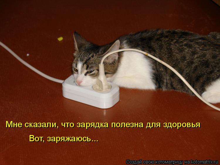 Котоматрица: Вот, заряжаюсь... Мне сказали, что зарядка полезна для здоровья