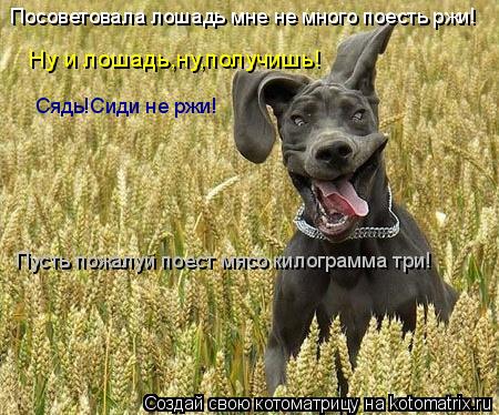Ну и лошадь,ну,получишь! Посоветовала лошадь мне не много поесть ржи! Сядь!Сиди не ржи! Пусть пожалуй... Котоматрица: Ну и лошадь,ну,получишь! Посоветовала лошадь мне не много поесть ржи! Сядь!Сиди не ржи! Пусть пожалуй поест мясо килограмма три!