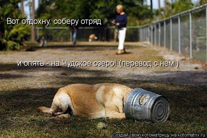 Вот отдохну, соберу отряд и опять - на Чудское озеро! (перевод с нем.)... Котоматрица: Вот отдохну, соберу отряд и опять - на Чудское озеро! (перевод с нем.)